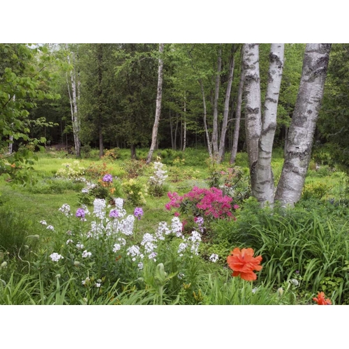 Canada, New Brunswick, Forest and garden